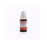 Teucrium Marum Verum 10ml homeopathic dilutions and mother tincture bottle or pack on white background