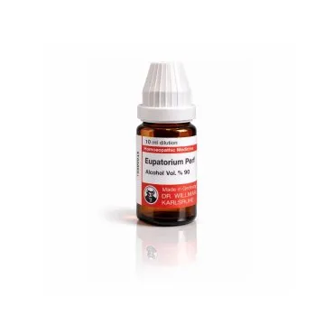Eupatorium Perf 10ml homeopathic dilutions and mother tincture bottle or pack on white background