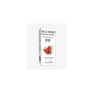 Wild Brier Sprouts Extract product packaging on a white background