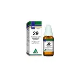 BM 29 Drops homeopathic drops on a pure white background