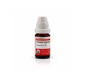 Caladium Seg 10ml liquid homeopathic dilution bottle or pack on white background