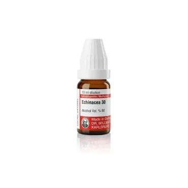 Echinacea 10ml homeopathic dilutions and mother tincture bottle or pack on white background