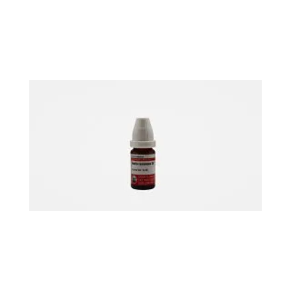 Aralia Recemosa 10ml homeopathic dilutions and mother tincture bottle or pack on white background