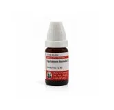 Equisetum Hiemale 10ml homeopathic dilutions and mother tincture bottle or pack on white background