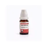 Sepia Officinalis 10ml liquid homeopathic dilution bottle or pack on white background