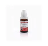 Nux Vomica 10ml homeopathic dilutions and mother tincture bottle or pack on white background