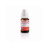 Anagallis Arvensis 10ml liquid homeopathic dilution bottle or pack on white background