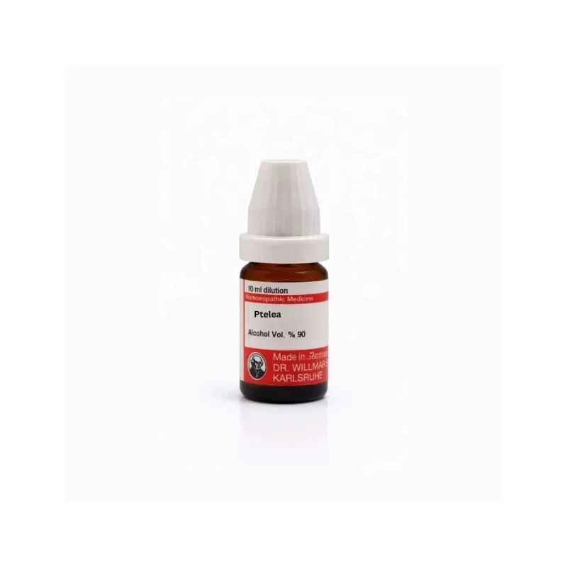 Ptelea 10ml liquid homeopathic dilution bottle or pack on white background