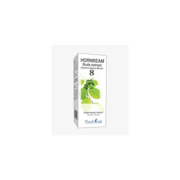 Hornbeam Buds Extract product packaging on a white background