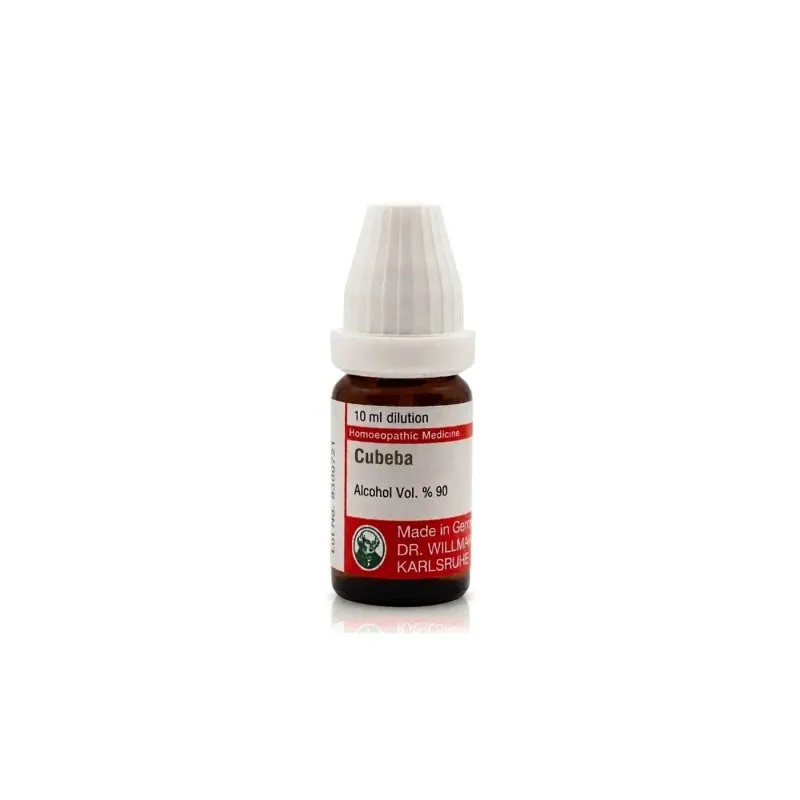 Cubeba 10ml liquid homeopathic dilution bottle or pack on white background